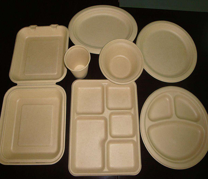 環(huán)保紙漿模塑歷來發(fā)展與應(yīng)用有哪些？